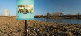 Samsung Neo Forest devine realitate; Prima pădure comunitară a fost înființată în Giurgiu, iar cutiile de televizoare au fost transformate în căsuțe pentru pisici