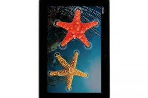 Asus Memo Pad FHD10