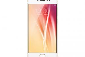 Vivo X7
