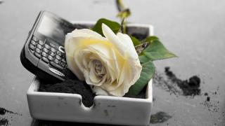 BlackBerry ar putea să îşi închidă secţiunea hardware pe 28 septembrie