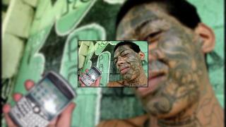 Gangsterii canadieni folosesc terminale BlackBerry pentru a comunica!