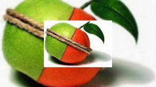Apple si Orange Franta confirma parteneriatul pentru lansarea lui iPhone