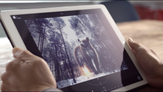 Adobe prezintă editor foto dotat cu asistent vocal; doar sub formă de concept pentru moment