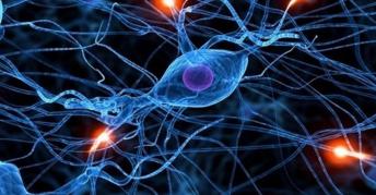 AI-ul Google bate Bing şi Siri la un "test de IQ", este sub un copil de 6 ani