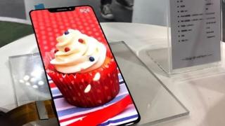 Compania BOE realizează un panou OLED arătos cu diagonală de 6.18 inch şi decupaj în stil iPhone X; Iată-l!