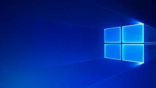 Google găsește o vulnerabilitate în managerul de parole din Windows 10