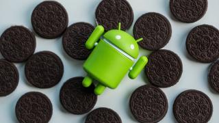 La începutul lui februarie 2018, Android Oreo se găsește pe 1.1% din telefoanele Android de pe piață