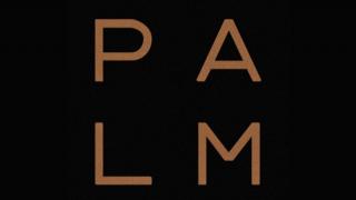 Noul logo Palm apare online; Aşteptăm şi primele telefoane noi