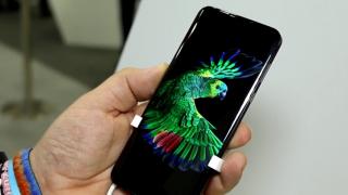 Sharp 801SH este un telefon flagship cu panou OLED şi breton, apărut în culisele IFA 2018 (Video)