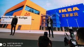 Xiaomi + Ikea = love: colaborare în zonele AI şi Internet of Things