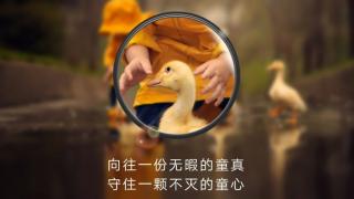 Din nou cu mâţa în sac: Huawei a folosit fotografii de DSLR pentru promovarea zoom-ului lui Huawei P30