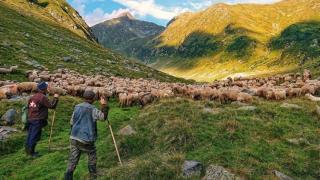 Un fotograf premiat dă sfaturi cu privire la fotografiile ideale cu smartphone-ul, preferă modelele Xperia