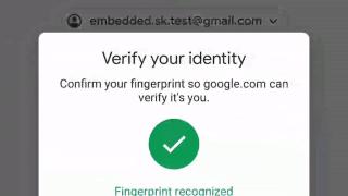 Conturile Google acceptă acum autentificare biometrică, pentru început pe Android