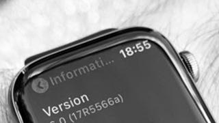 Apple Watch Series 5 are deja o scăpare, printr-o fotografie hands on de pe Instagram