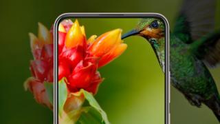 Vivo V17 debutează în India cu un design diferit față de modelul V17 din Rusia; Iată ce se mai schimbă