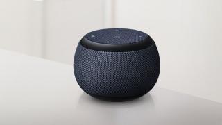 Boxa Samsung Galaxy Home Mini se pregătește de lansare; Disponibilă din 12 februarie