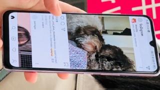 Vivo S6 5G se afișează acum și în fotografii hands-on, cu decupaj picătură în ecran și cameră circulară în spate