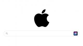 Apple îşi face motor de căutare, profitând de momentul de slăbiciune Google; Unele funcții sunt active în iOS 14 deja!