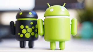 Android 12 Developer Preview ar putea sosi până la final de lună februarie potrivit unui indiciu din Play Store