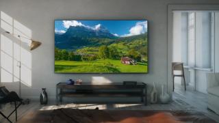 REDUCERI REALE Flanco: azi avem grătar electric TEFAL și televizor QLED Samsung de 146 cm