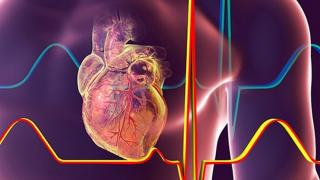 Apple lucrează la un dispozitiv care măsoară tensiunea arterială fără presiune pe braţ