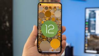 Google a lansat Android 12 Beta 4, cea mai stabilă versiune de până acum! Iată Easter Egg-ul din acest an
