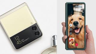 Samsung Galaxy Z Flip 3 și Z Fold 3 primesc o nouă actualizare; Camera poate recunoaște acum animale, iar multitasking-ul este îmbunătățit