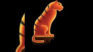 Abonamentul Tigru de la Orange pentru apeluri și mesaje nelimitate În orice rețea națională