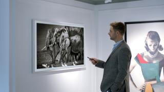 Noi fotografii artistice ajung pe televizoarele Samsung The Frame, printr-un parteneriat cu YellowKorner