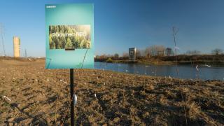 Samsung Neo Forest devine realitate; Prima pădure comunitară a fost înființată în Giurgiu, iar cutiile de televizoare au fost transformate în căsuțe pentru pisici