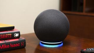 Amazon Alexa i-a recomandat unei fetiţe de 10 ani să se curenteze la priză (folosind o monedă)