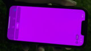 iPhone 13 se confruntă cu un bug care îi face ecranul roz