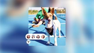 Instagram primește noi funcții de mesagerie cu accent pe multitasking: reply rapid, teme și mesaje silențioase