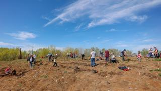 eMAG organizează Ziua Verde, un eveniment despre sustenabilitate care a însemnat plantarea a 10 hectare de pădure