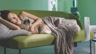 E LUNI e AMAZON: Azi vă recomandăm ventilatorul Dream Maker, care oferă control prin aplicația mobilă și confort în zilele călduroase de vară