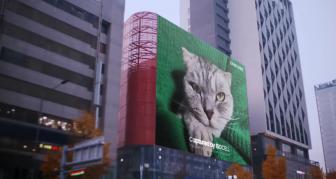 Samsung scoate în evidență "puterea" senzorului HP1 de 200 megapixeli printr-un baner uriaș printat cu o pisică