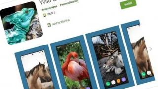 O aplicaţie de fundaluri exotice are malware şi alte aplicaţii din Play Store cu probleme semnalate aici