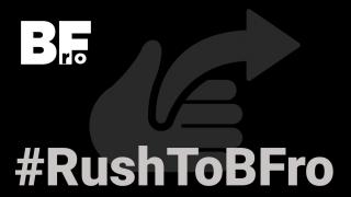 #RushToBFro - Acum poți obține un smartphone realme de la BF.ro (din multele care vor urma)