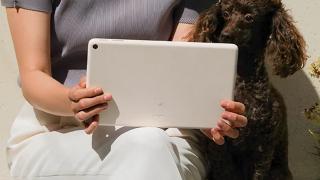 Noua tabletă Pixel pregătită de către Google ajunge la vânzare înainte de lansare pe Facebook; Are și dock!