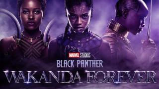 Ce vedem în luna februarie pe Disney+? "Pantera Neagră: Wakanda pentru totdeauna" plus filme și seriale romantice de Valentine's Day