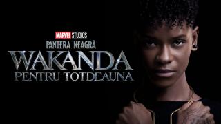 Pantera Neagră: Wakanda Pentru Totdeauna stabileşte un record de vizionare pe Disney+