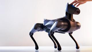 Xiaomi are de acum un nou câine robot în portofoliu; CyberDog 2 este mai deștept și execută și trucuri