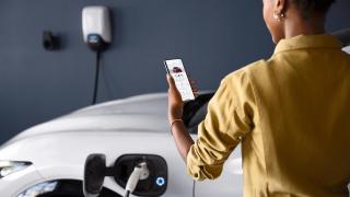 Următoarea ta mașină ar putea fi aleasă cu ajutorul Google; Un tool util va fi integrat în motorul de căutare curând