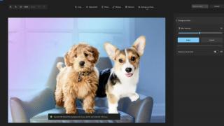 Scoate ce nu îţi place din poze, cu noua versiune Windows Photos cu AI generativ