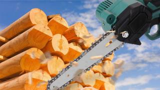 Practic și eficient: fierăstrăul electric portabil la un preț imbatabil; Ofertă limitată!