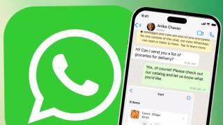 Ai curiozitatea să știi cine a fost activ? WhatsApp testează funcția „Recently Online” pentru iOS