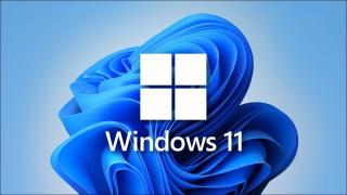 Statcounter: Windows 11 crește din nou; Windows XP rămâne surprinzător de relevant