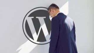 Matt Mullenweg avertizează: „Procesele ar putea închide WordPress.org”