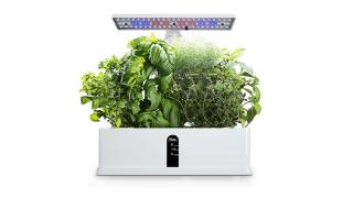 Cu acest sistem hidroponic poți cultiva plante aromatice chiar pe balcon și nu ai nevoie de pământ; La reducere pe Cafago