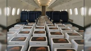 Panică la Apple: 5 avioane pline cu iPhone-uri au venit din India şi China în SUA, pentru a fenta tarifele lui Trump